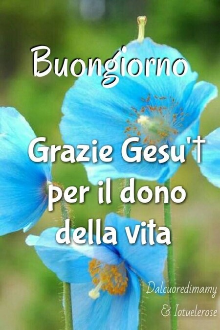 "Grazie Gesù per il dono della vita. Buongiorno"