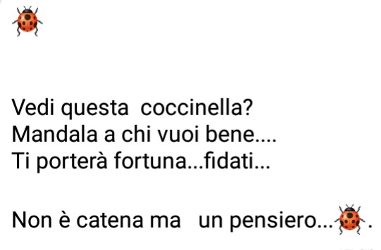 "Vedi questa coccinella? Mandala a chi vuoi bene... Ti porterà fortuna... fidati... Non è una catena... è un pensiero..."