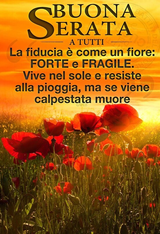 "Buona Serata a tutti. La fiducia è come un fiore FORTE e FRAGILE. Vive nel sole e resiste alla pioggia, ma se viene calpestata muore."