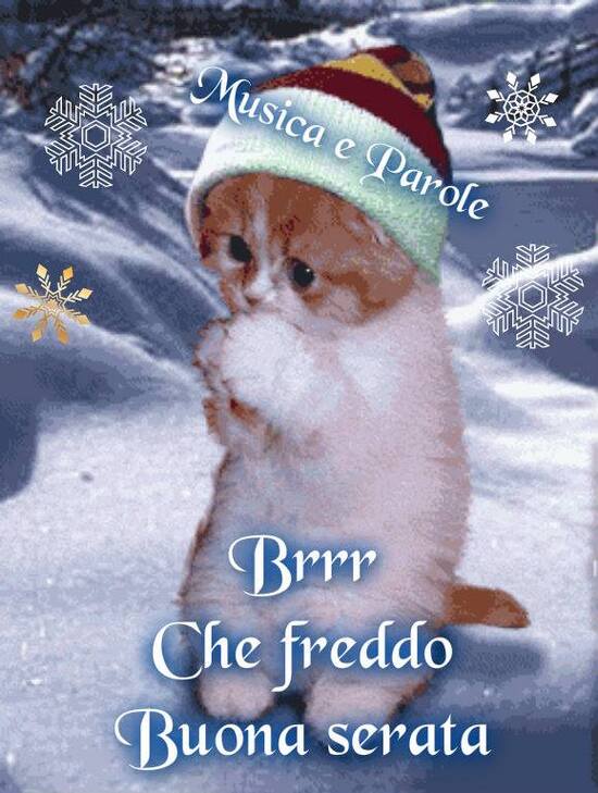 "Brrr che freddo... Buonasera"