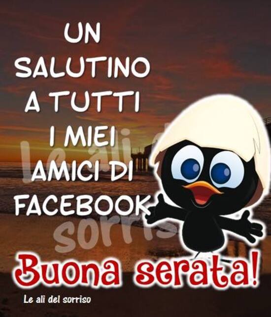 "Un salutino a tutti i miei amici di Facebook. Buonasera!"