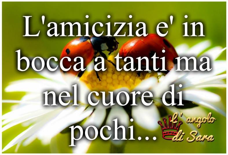 L'angolo di Sara - "L'Amicizia è in bocca a tanti ma nel cuore di pochi..."