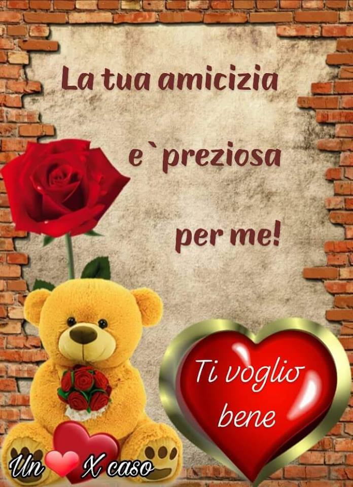 "La tua amicizia è preziosa per me! Ti Voglio Bene"