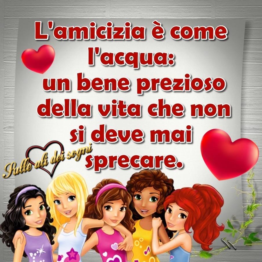 "L'amicizia è come l'acqua: un bene prezioso della vita che non si deve mai sprecare."