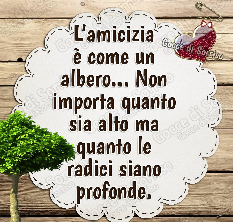 Frasi sull'Amicizia - "L'Amicizia è come un albero... non importa quanto sia alto ma quanto le radici siano profonde."