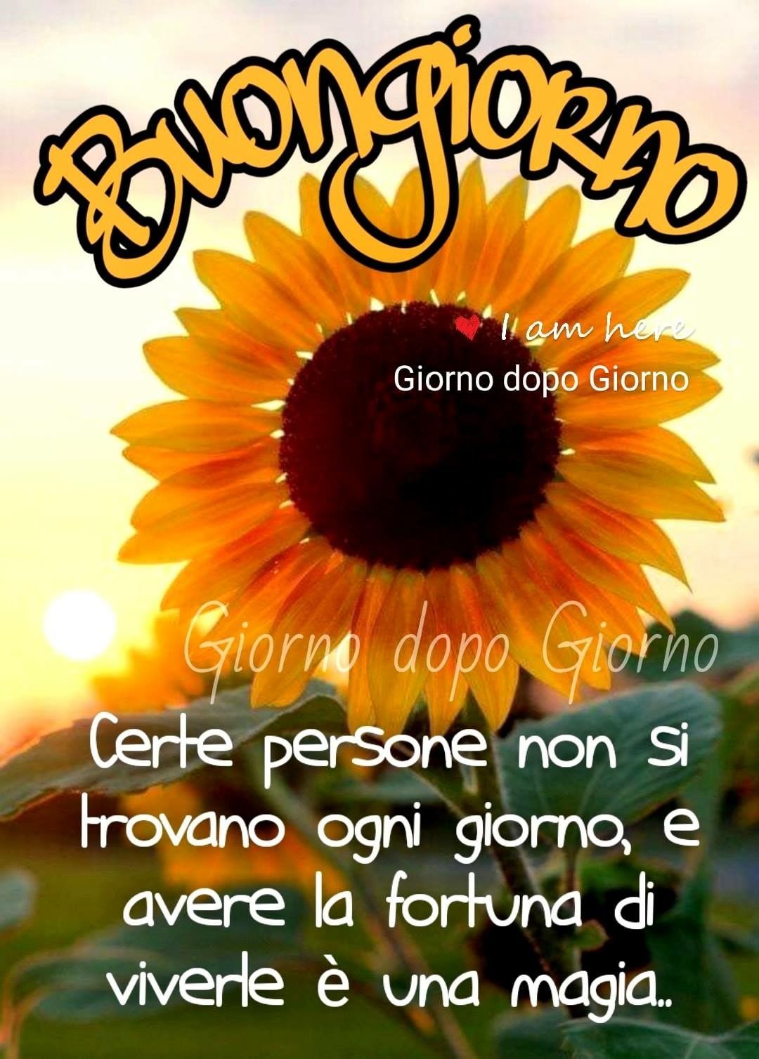 "Buongiorno. Certe persone non si trovano ogni giorno, e avere la fortuna di viverle è una magia."