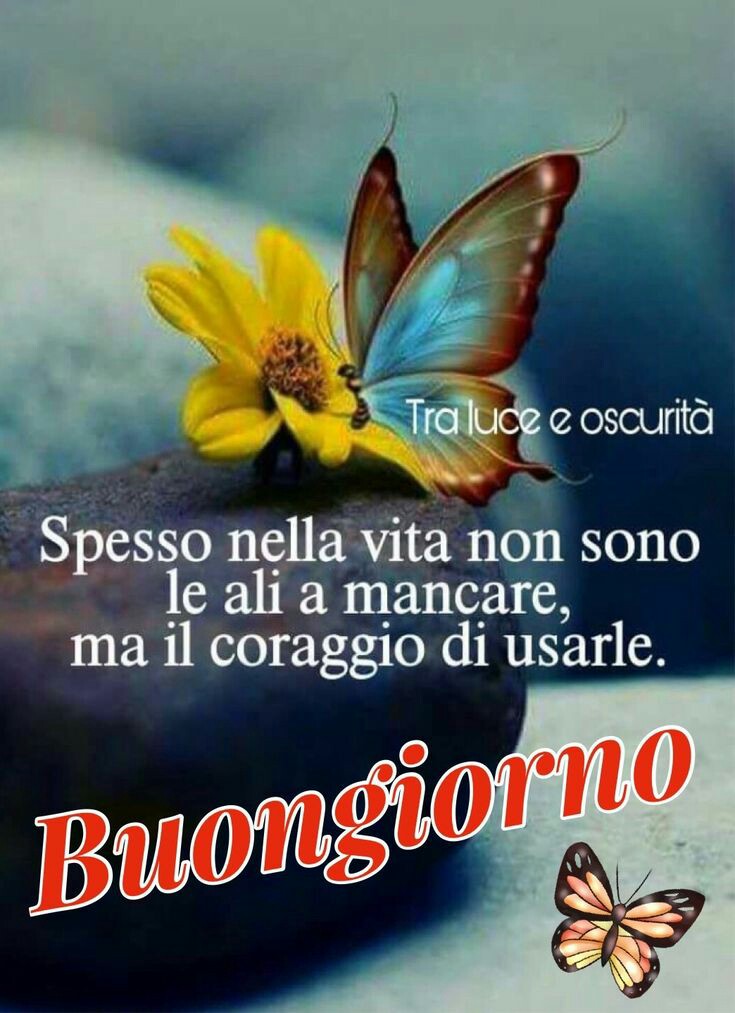 Frasi di Buongiorno - "Spesso nella vita non sono le ali a mancare, ma il coraggio di usarle."