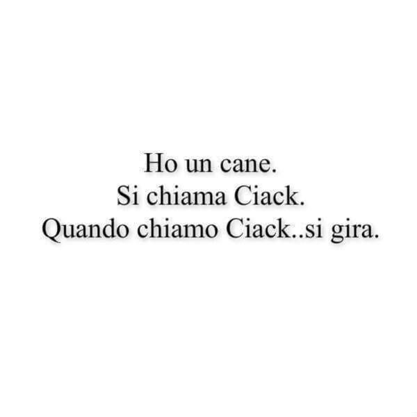 "Ho un cane. Si chiama Ciack. Quando chiamo Ciack... si gira" - freddure da condividere gratis