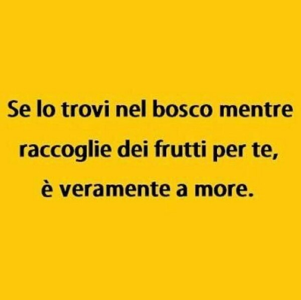 Immagini divertenti - "Se lo trovi nel bosco mentre raccoglie dei frutti per te, è veramente a more."