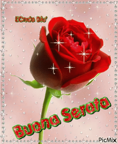 PicMix - Buona Serata con una rosa rossa"