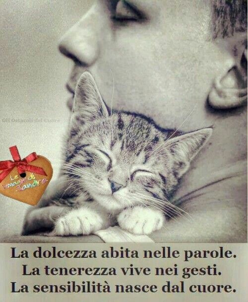 "La dolcezza abita nelle parole, la tenerezza vive nei gesti, la sensibilità nasce dal cuore."