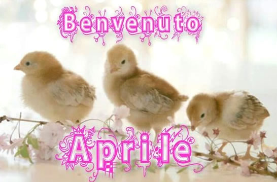 Buona Giornata Aprile - immagini gratis da condividere