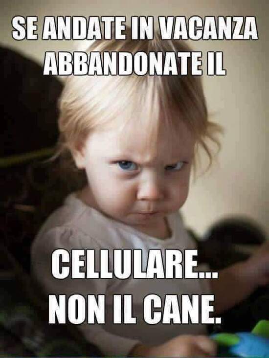 "Se andate in vacanza abbandonate il cellulare... non il cane."