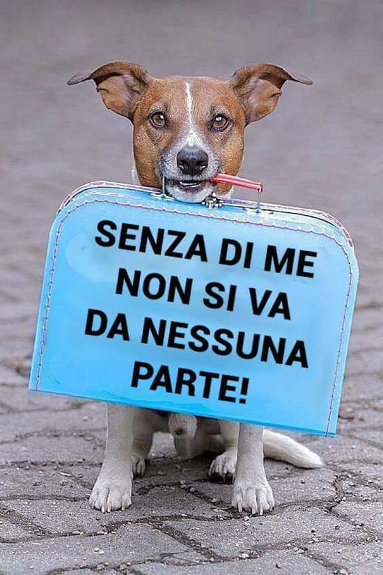 "SENZA DI ME NON SI VA DA NESSUNA PARTE!"