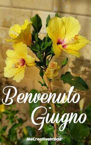 Bellissime immagini - "Benvenuto Giugno"