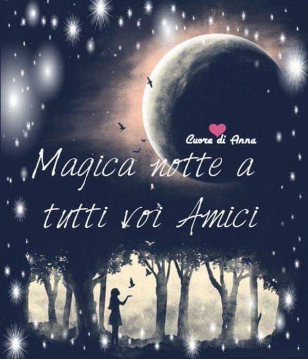 "Magica Notte a tutti voi amici"