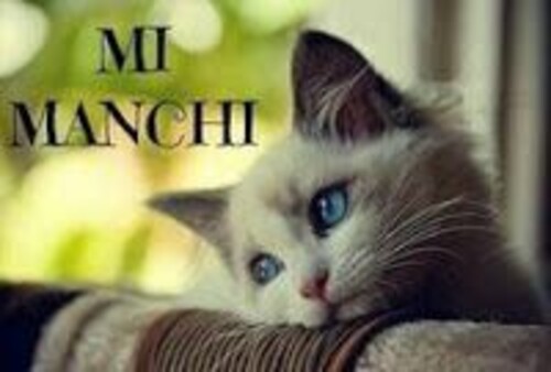 "MI MANCHI"