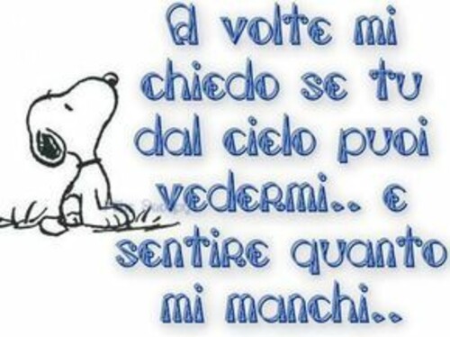 "A volte mi chiedo se tu dal cielo puoi vedermi... e sentire quanto mi manchi..."