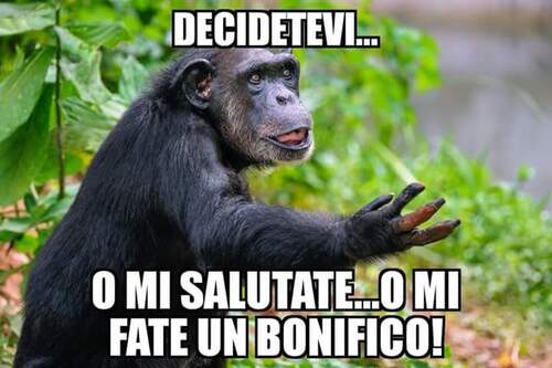 "Decidetevi... o mi salutate o mi fate un bonifico!" - immagini divertenti