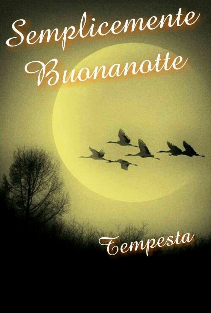 Buonanotte e a Domani amici