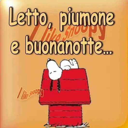 Buonanotte con Snoopy - "Letto, piumone e Buonanotte..."