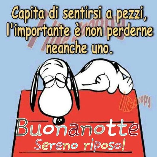 "Capita di sentirsi a pezzi, l'importante è non perderne neanche uno. Buona Notte, Sereno Riposo!"