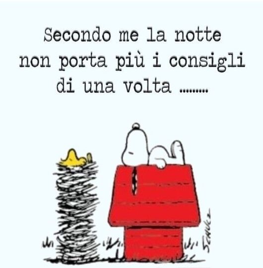 "Secondo me la notte non porta più i consigli di una volta..." - Buonanotte con Snoopy