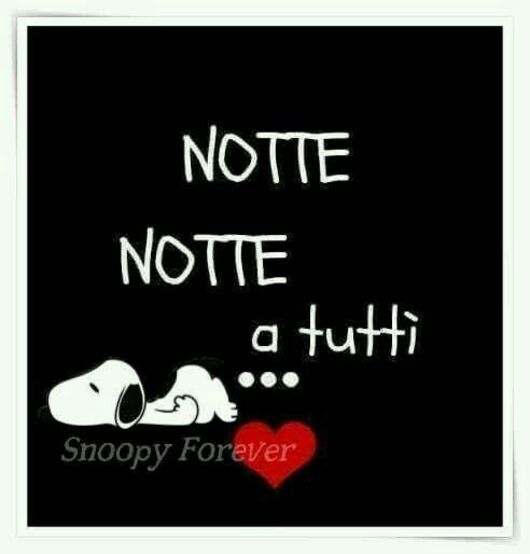 "NOTTE NOTTE A TUTTI..." - Snoopy Forever