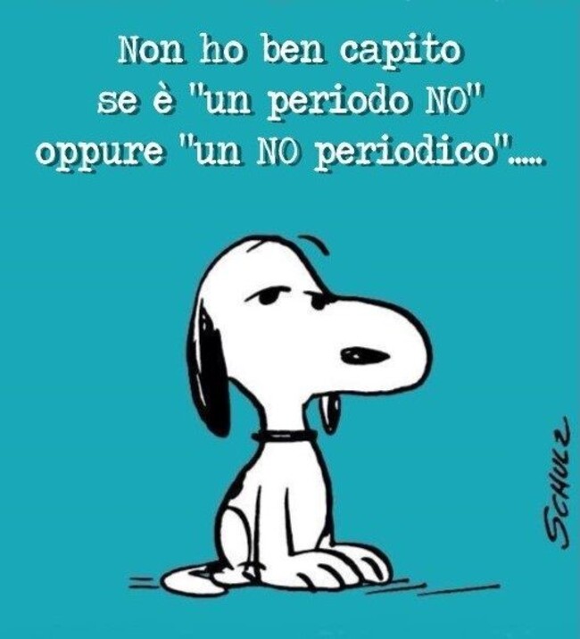 "Non ho ben capito se è un periodo no oppure un no periodico." - Snoopy