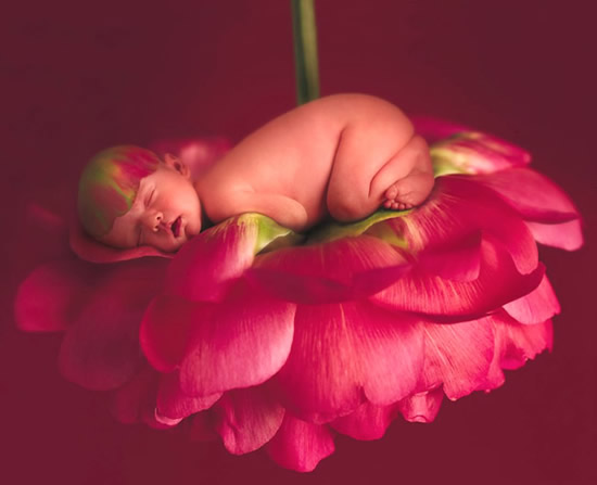 Un bimbo che dorme su un fiore
