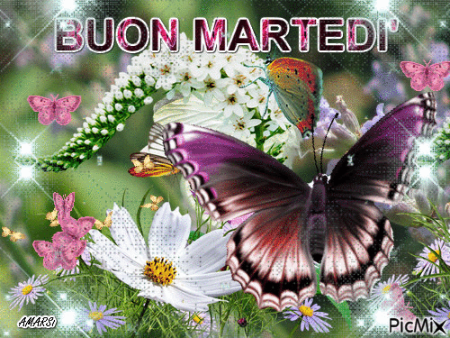 Immagini di Buon Martedì con le farfalle e i fiori - PicMix