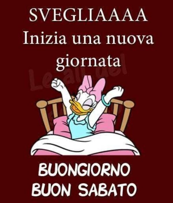 "SVEGLIAAA Inizia una nuova giornata. BUONGIORNO E BUON SABATO"