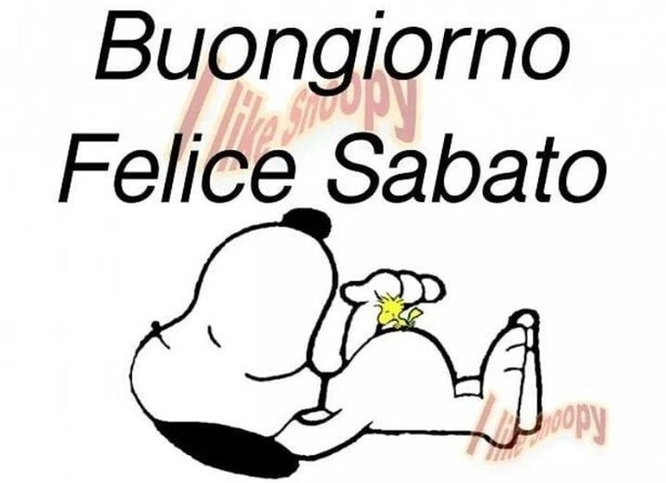 "Buongiorno e Felice Sabato"