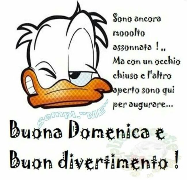 "Sono ancora mooolto assonnato!.. Ma con un occhio chiuso e l'altro aperto sono qui per augurare... Buona Domenica e Buon Divertimento!"