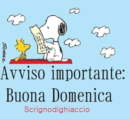 "Avvisto Importante: Buona Domenica" - Snoopy