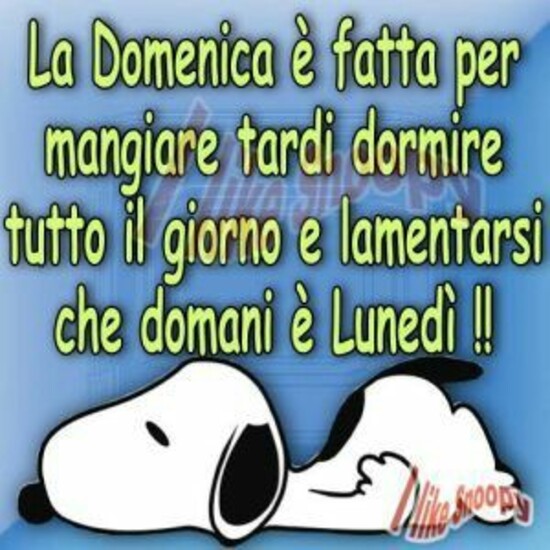 "La Domenica è fatta per mangiare tardi, dormire tutto il giorno e lamentarsi che domani è lunedì !!"