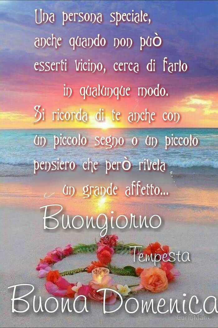 "Una Persona Speciale anche quando non può esserti vicino, cerca di farlo in qualche modo. Si ricorda di te anche con un piccolo segno o un piccolo pensiero che però rivela un grande affetto... Buongiorno e Serena Domenica"