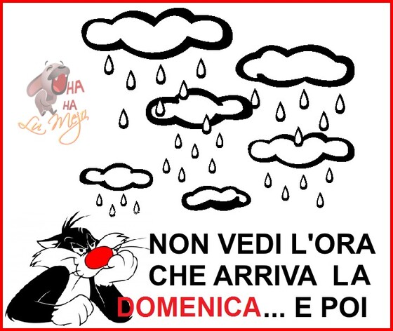 "Non vedi l'ora che arriva la Domenica... e poi"