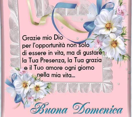 "Grazie mio Dio per l'opportunità non solo di essere in vita, ma di gustare la tua presenza, la tua grazia e il tuo Amore ogni giorno nella mia vita... Buona Domenica Buon Giorno"