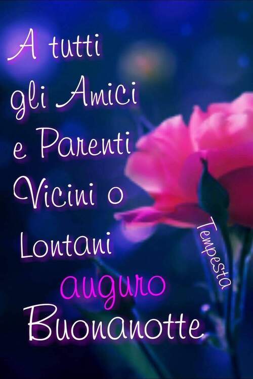 "A tutti gli amici e parenti, vicini e lontani, auguro Buonanotte"