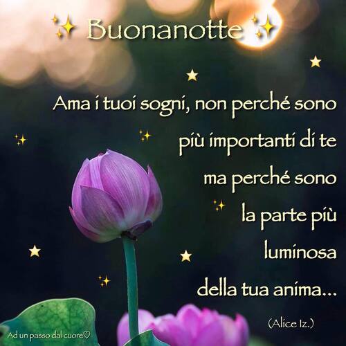 Buonanotte con i fiori - "Ama i tuoi sogni, non perchè sono più importanti di te, ma perchè sono la parte più luminosa della tua anima."