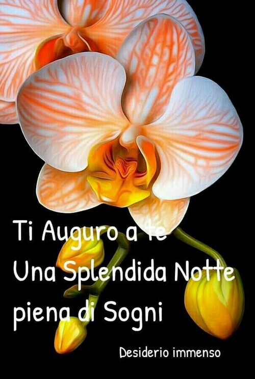 Buonanotte con i fiori - "Ti auguro una Splendida Notte piena di Sogni"