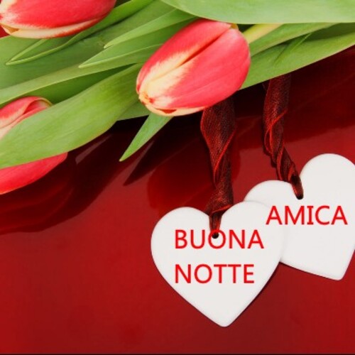 "BUONA NOTTE AMICA MIA"