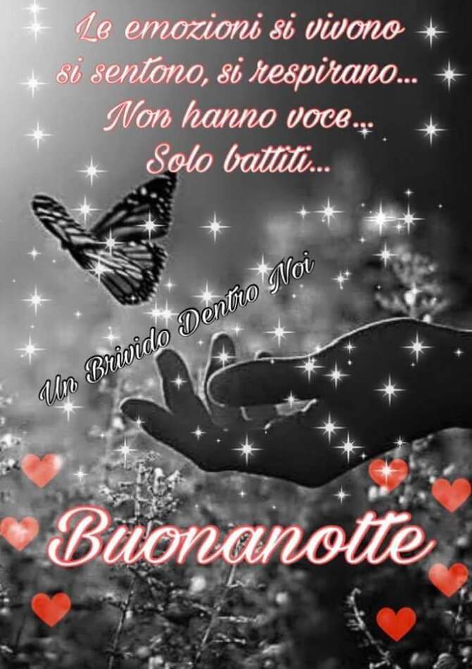 "Le emozioni si vivono, si sentono, si respirano... Non hanno voce, solo battiti... Buonanotte"