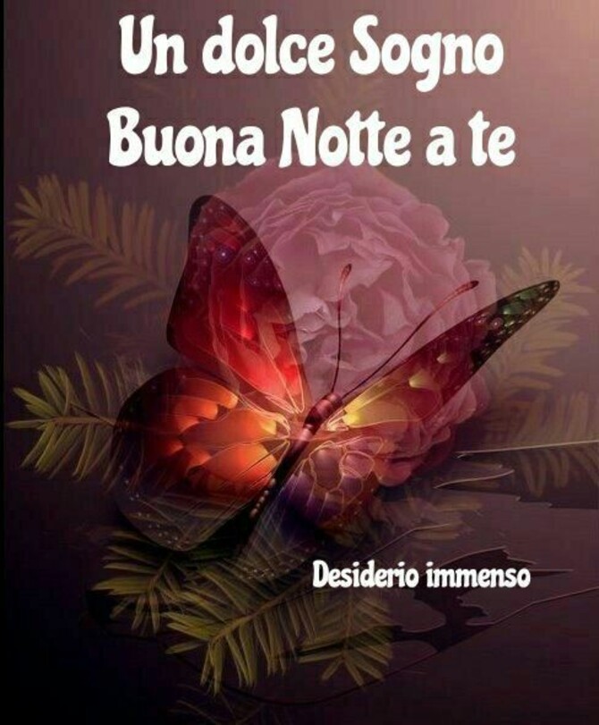 "Un Dolce Sogno, Buona Notte a Te"