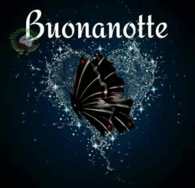 "Buonanotte"