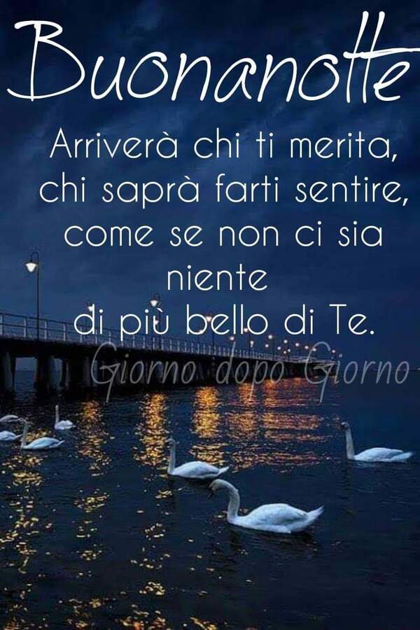 "Arriverà chi ti merita, chi saprà farti sentire come se non ci sia niente di più bello di te. Buonanotte"