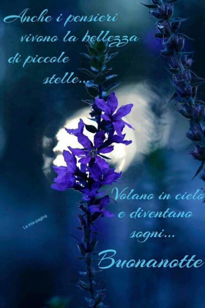 Buonanotte primaverile - "Anche i pensieri vivono la bellezza di piccole stelle... volano in cielo e diventano sogni..."