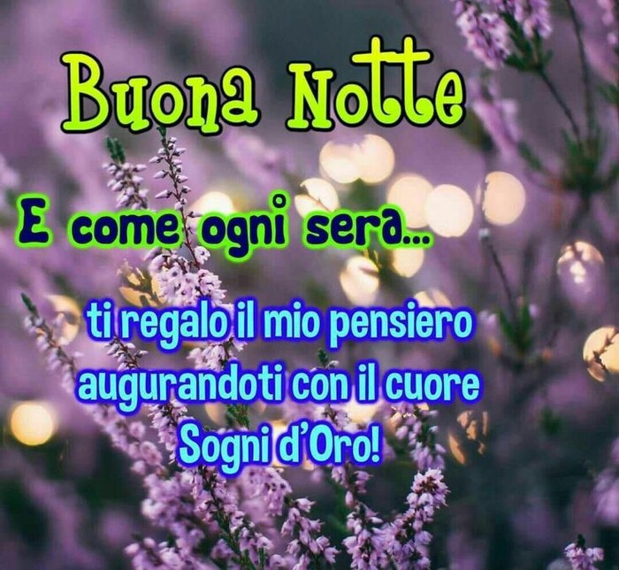 "E come ogni sera... Ti regalo il mio pensiero, augurandoti con il Cuore Sogni d'Oro!"