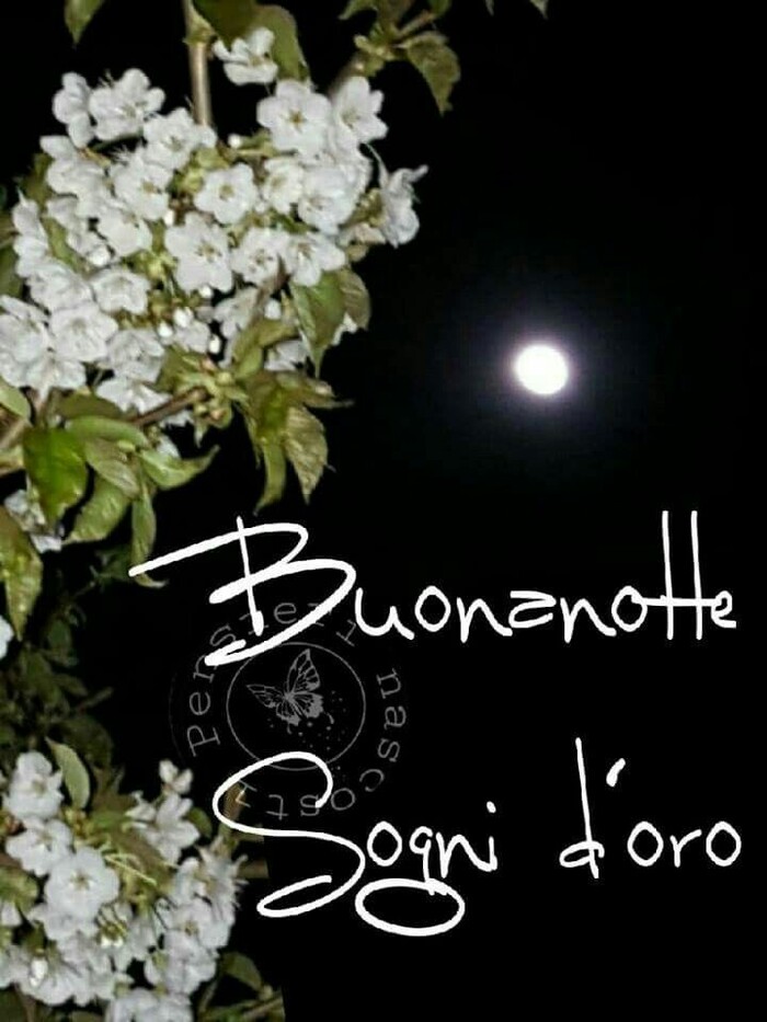 Buona Notte e Sogni d'oro con i fiori di ciliegio